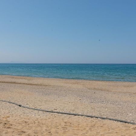 פלטאנס Vasileios Seaview Apartments מראה חיצוני תמונה